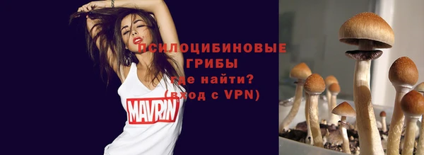 МДПВ Алексин